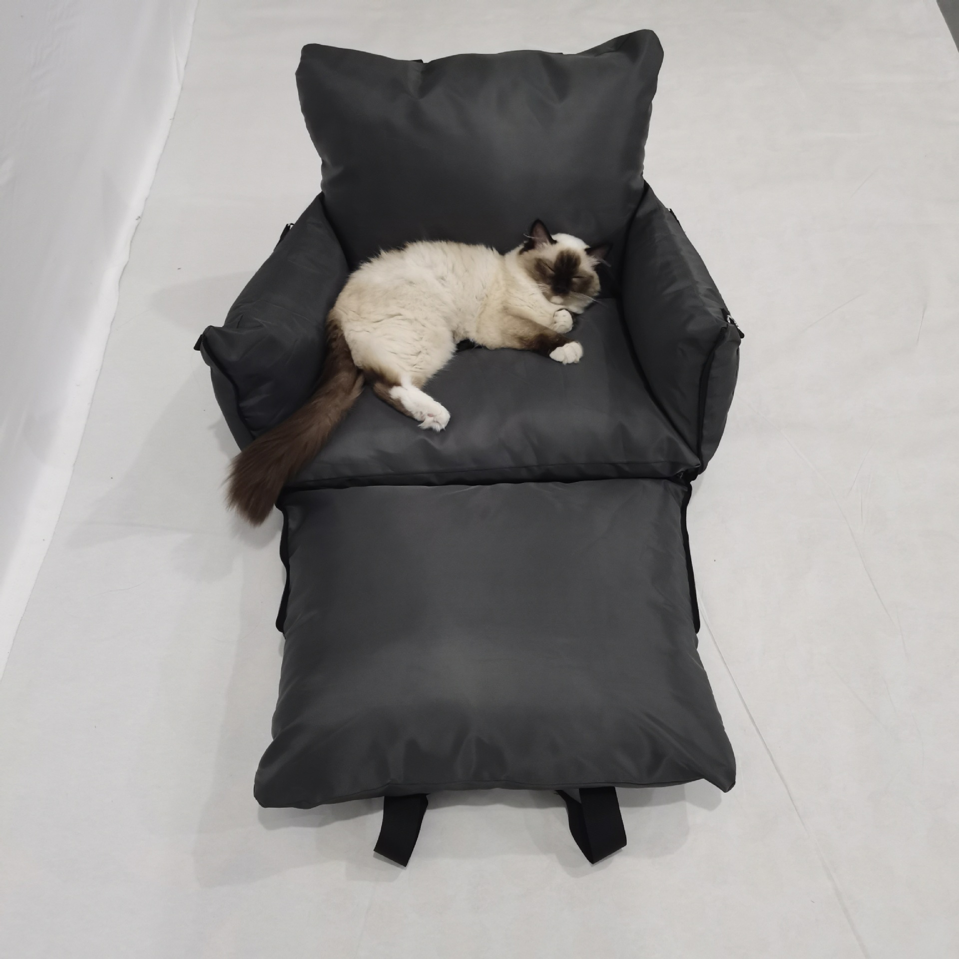 Cat resting in a premium car seat